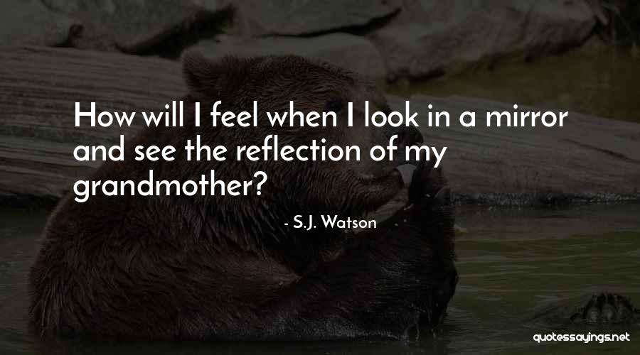 Reflection In Mirror Quotes By S.J. Watson Reflection In Mirror Quotes By S.J. Watson
