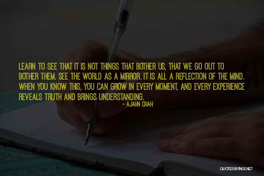 Reflection Of Experience Quotes By Ajahn Chah Reflection Of Experience Quotes By Ajahn Chah