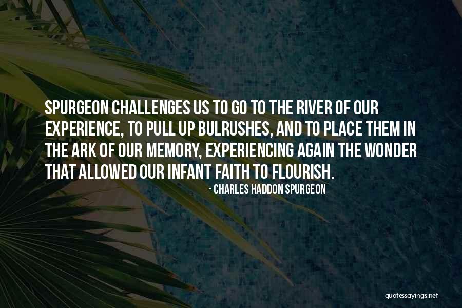 Reflection Of Experience Quotes By Charles Haddon Spurgeon Reflection Of Experience Quotes By Charles Haddon Spurgeon