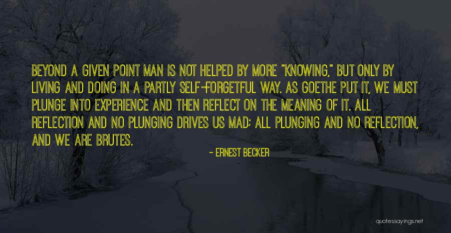 Reflection Of Experience Quotes By Ernest Becker Reflection Of Experience Quotes By Ernest Becker