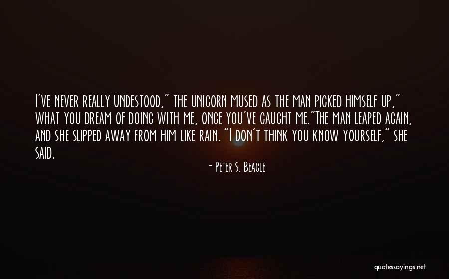 Reflection On Life Quotes By Peter S. Beagle Reflection On Life Quotes By Peter S. Beagle