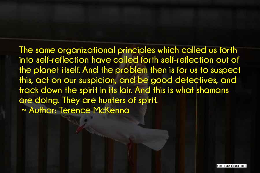 Reflection On Self Quotes By Terence McKenna