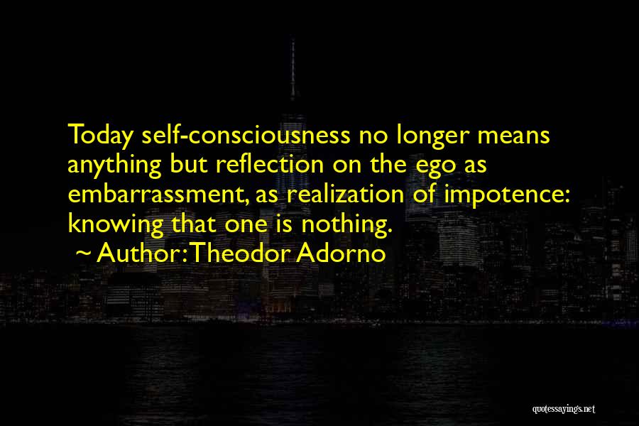 Reflection On Self Quotes By Theodor Adorno