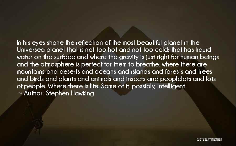 Reflection On The Water Quotes By Stephen Hawking