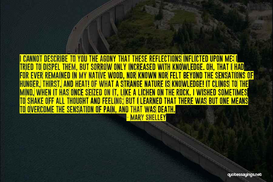 Reflections In Nature Quotes By Mary Shelley Reflections In Nature Quotes By Mary Shelley