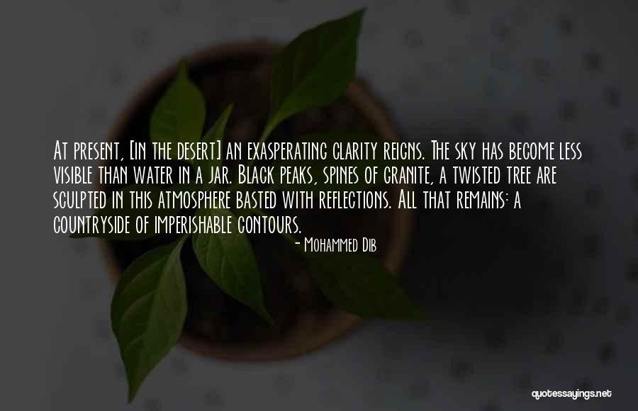 Reflections In Nature Quotes By Mohammed Dib Reflections In Nature Quotes By Mohammed Dib