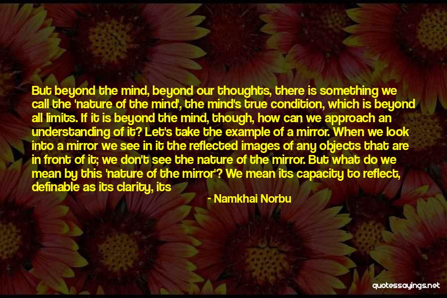 Reflections In Nature Quotes By Namkhai Norbu Reflections In Nature Quotes By Namkhai Norbu