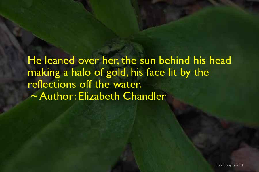 Reflections In Water Quotes By Elizabeth Chandler