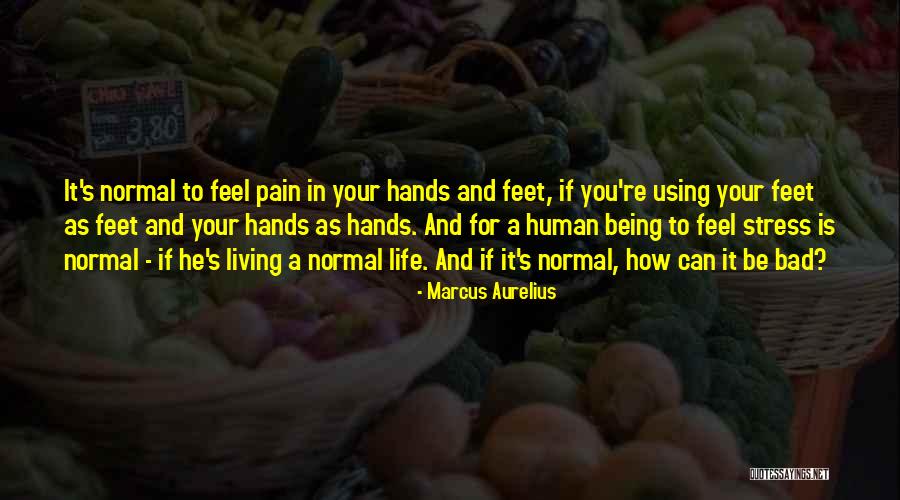 Reflexer Labs Quotes By Marcus Aurelius Reflexer Labs Quotes By Marcus Aurelius