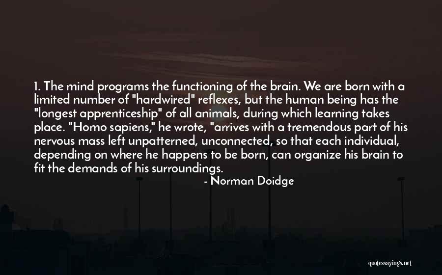 Reflexes 2 Quotes By Norman Doidge Reflexes 2 Quotes By Norman Doidge