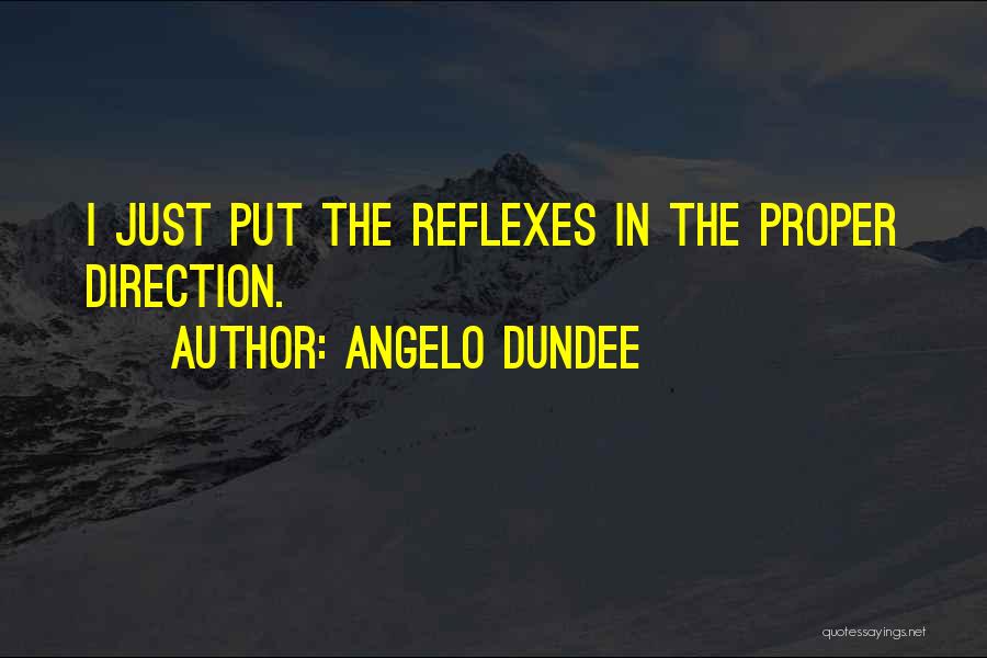 Reflexes Quotes By Angelo Dundee