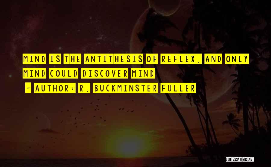 Reflexes Quotes By R. Buckminster Fuller