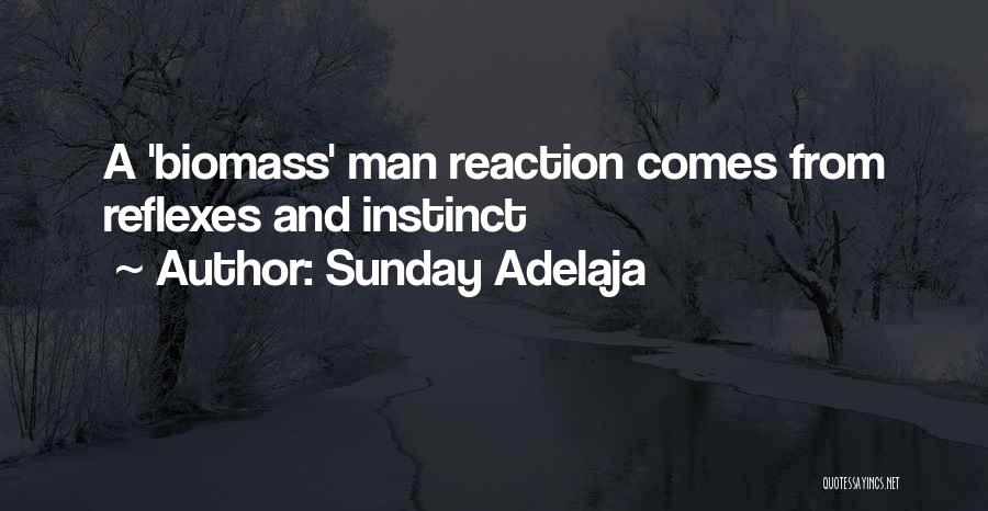 Reflexes Quotes By Sunday Adelaja