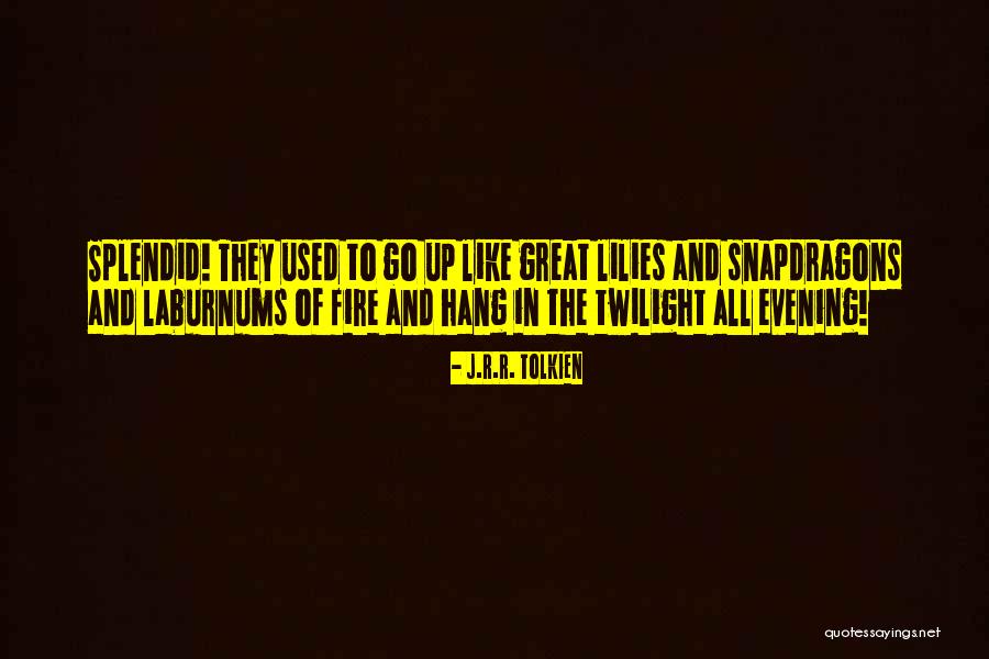 Reflexiva Definicion Quotes By J.R.R. Tolkien Reflexiva Definicion Quotes By J.R.R. Tolkien