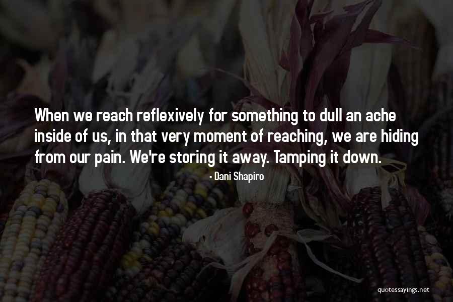 Reflexively Quotes By Dani Shapiro Reflexively Quotes By Dani Shapiro