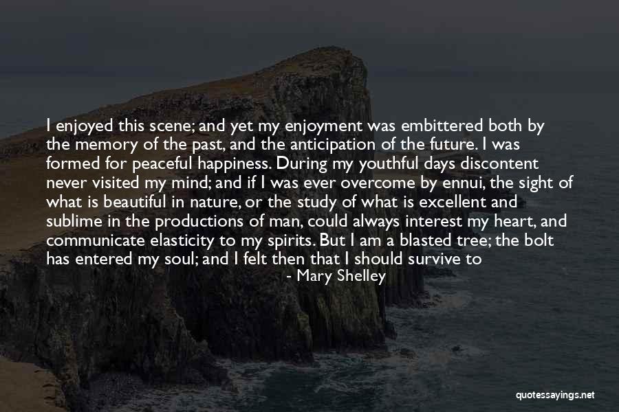 Reflexivity Anthropology Quotes By Mary Shelley Reflexivity Anthropology Quotes By Mary Shelley