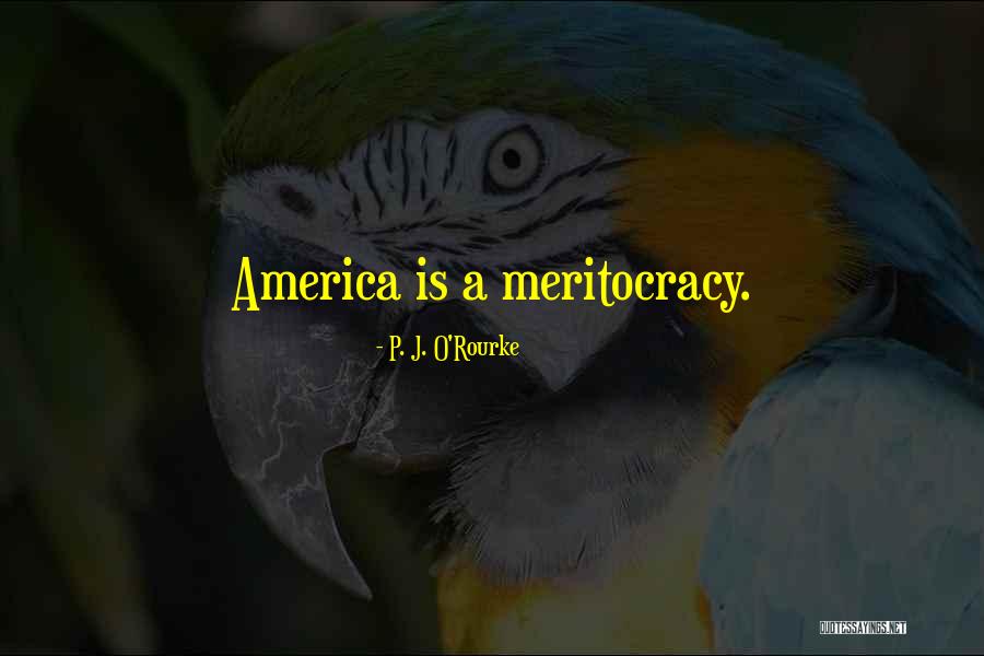 Reflexivity Anthropology Quotes By P. J. O'Rourke Reflexivity Anthropology Quotes By P. J. O'Rourke