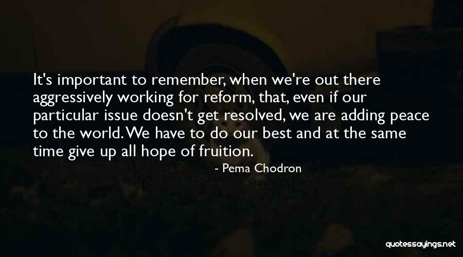 Reform Best Quotes By Pema Chodron Reform Best Quotes By Pema Chodron