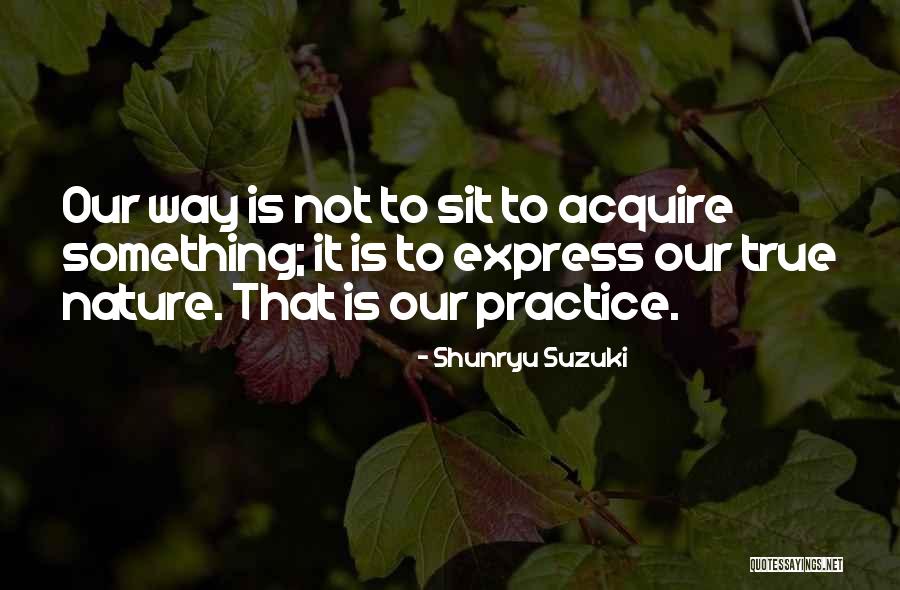 Reformador Banco Quotes By Shunryu Suzuki Reformador Banco Quotes By Shunryu Suzuki