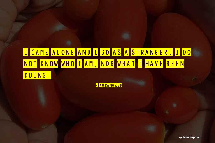 Reformador Catalitico Quotes By Aurangzeb Reformador Catalitico Quotes By Aurangzeb