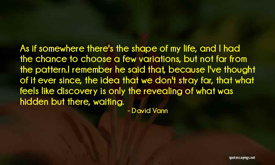 Reformador Catalitico Quotes By David Vann Reformador Catalitico Quotes By David Vann
