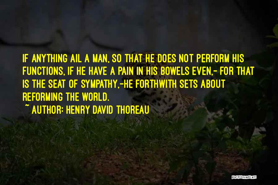 Reforming Quotes By Henry David Thoreau