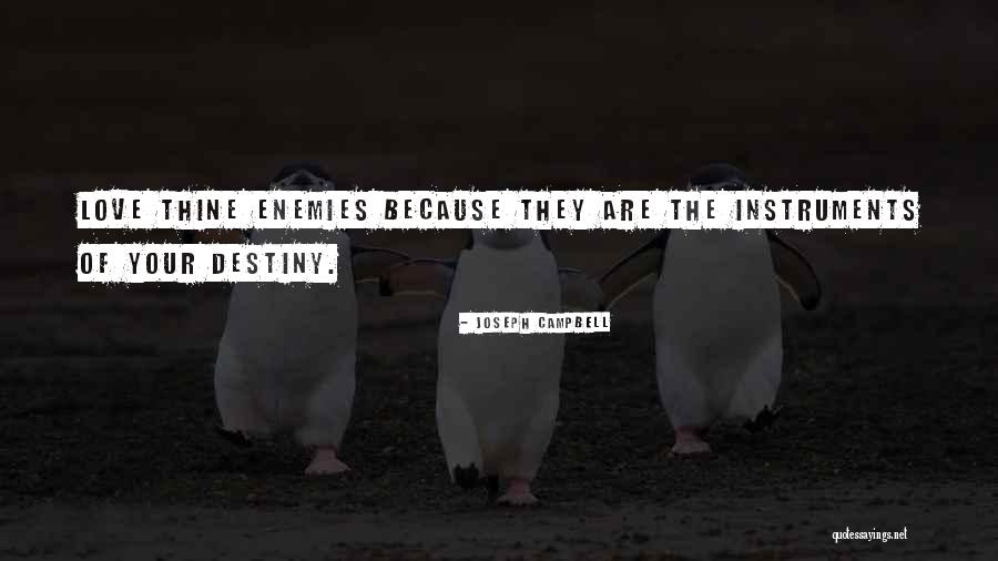 Reformulating Quotes By Joseph Campbell