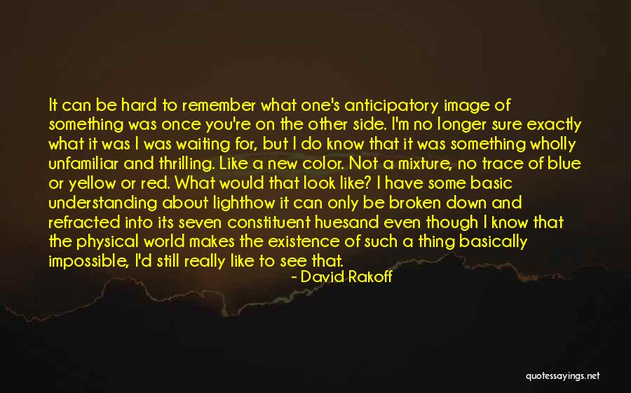 Refracted Light Quotes By David Rakoff Refracted Light Quotes By David Rakoff