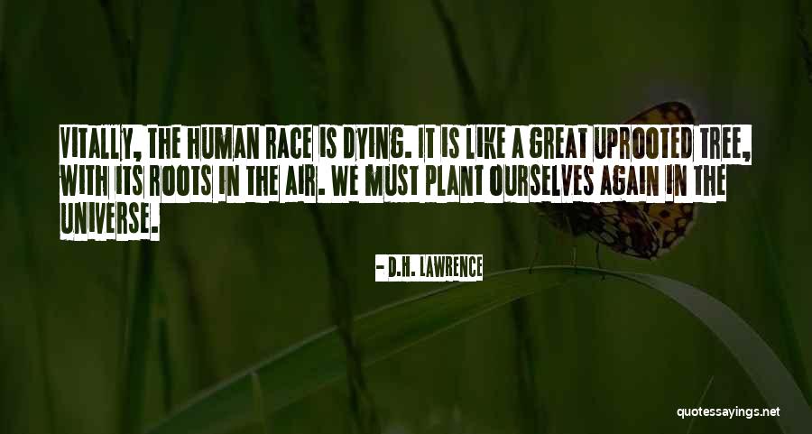 Refractors And Reflectors Quotes By D.H. Lawrence Refractors And Reflectors Quotes By D.H. Lawrence