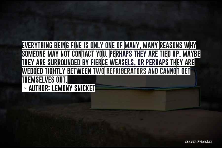 Refrigerators Quotes By Lemony Snicket