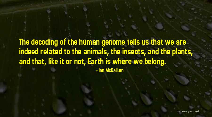Refuerza Sinonimo Quotes By Ian McCallum Refuerza Sinonimo Quotes By Ian McCallum
