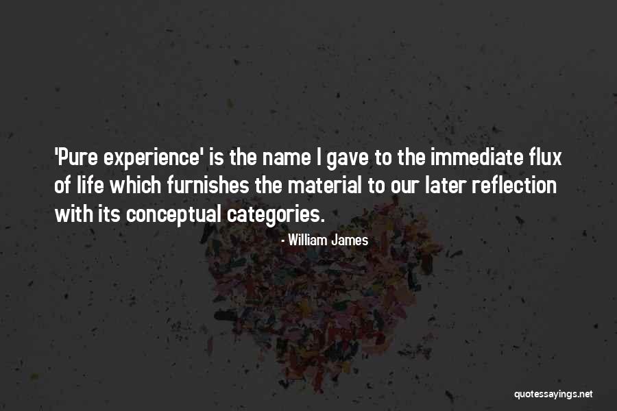 Refugiados Y Quotes By William James Refugiados Y Quotes By William James