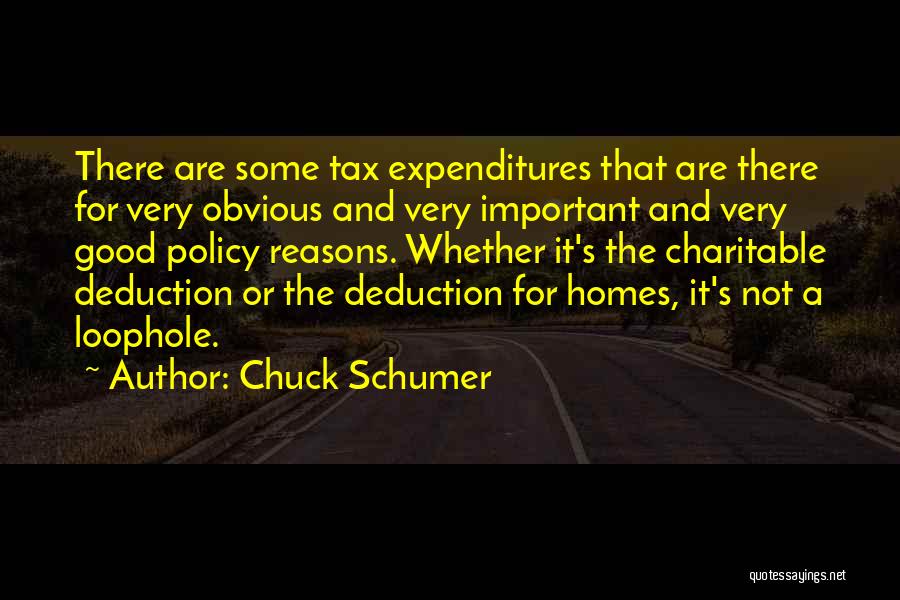 Refulgence In A Sentence Quotes By Chuck Schumer