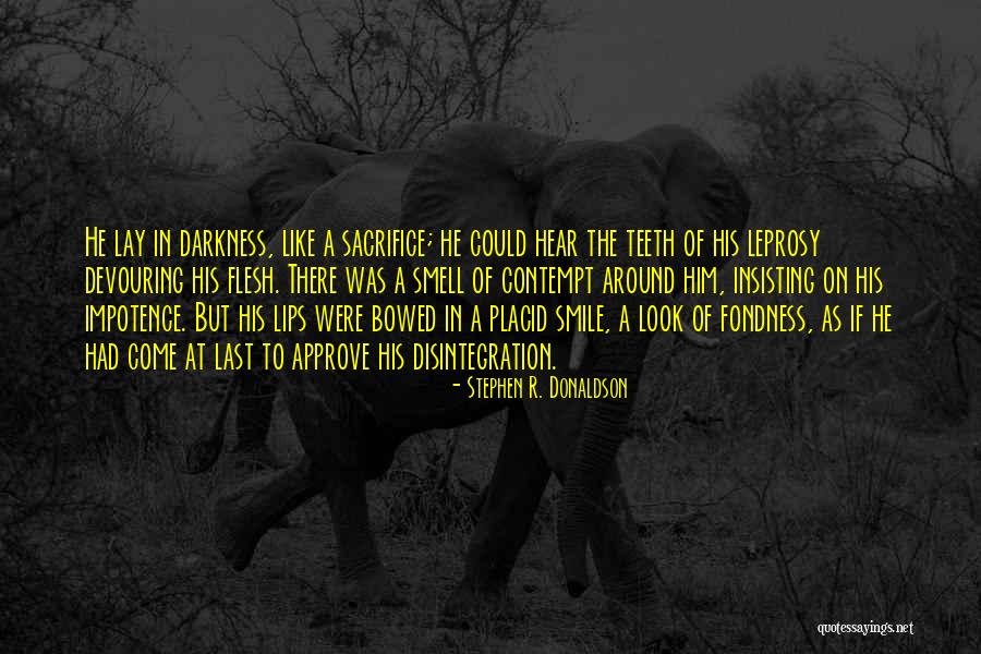 Refulgent Define Quotes By Stephen R. Donaldson Refulgent Define Quotes By Stephen R. Donaldson