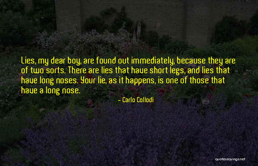 Refunds Irs Quotes By Carlo Collodi Refunds Irs Quotes By Carlo Collodi