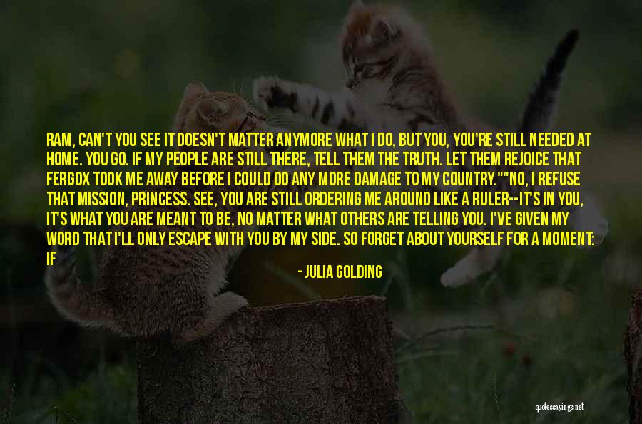 Refuse To See Quotes By Julia Golding