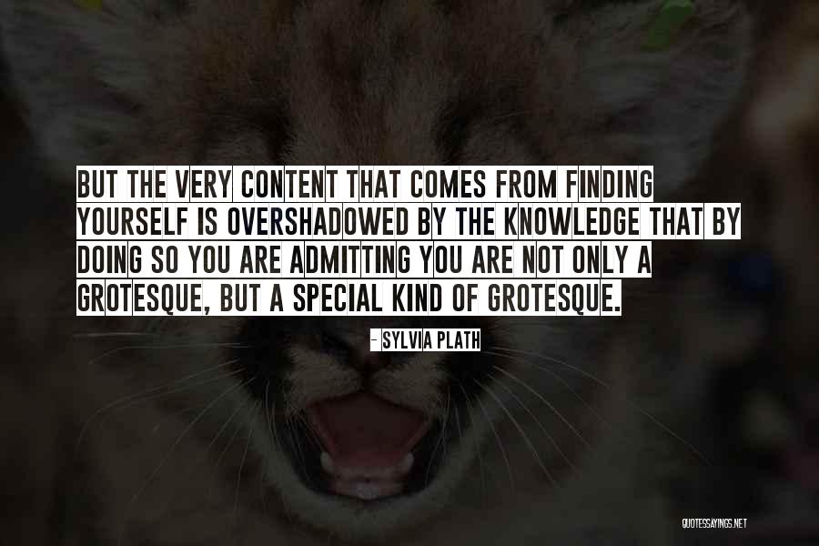 Refutes In An Argument Quotes By Sylvia Plath