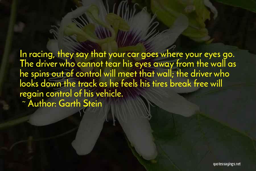 Regain Control Quotes By Garth Stein