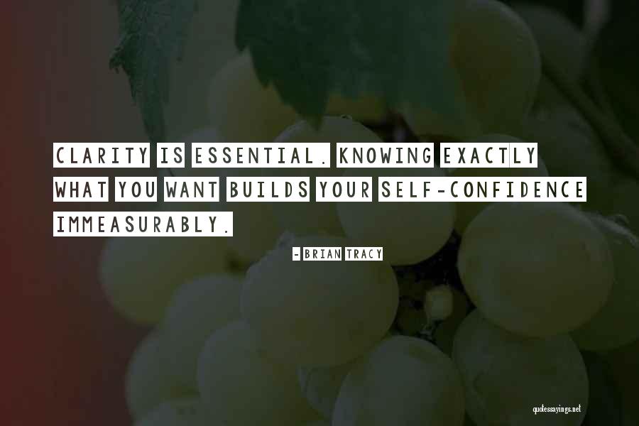 Regazzoni Interlagos Quotes By Brian Tracy Regazzoni Interlagos Quotes By Brian Tracy