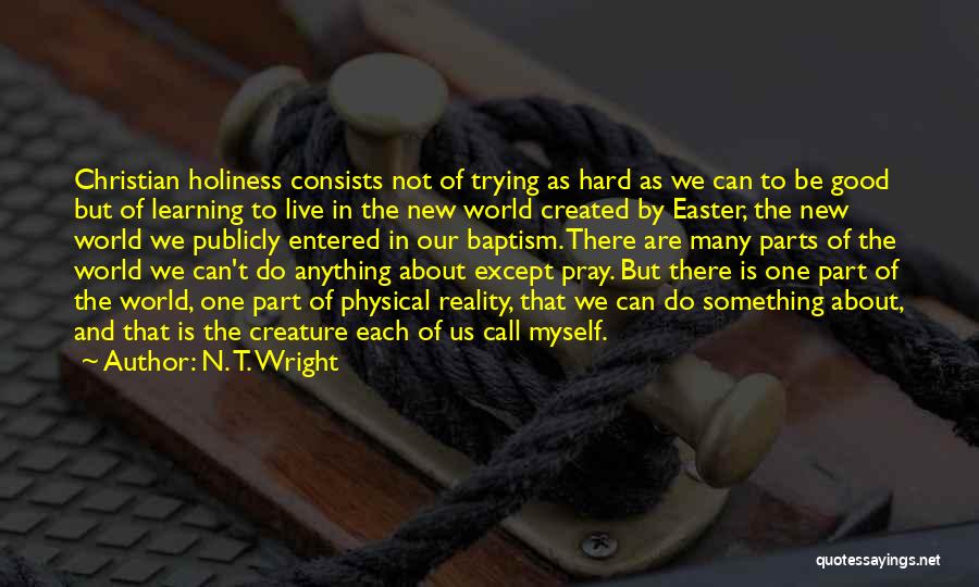 Regeneration Quotes By N. T. Wright