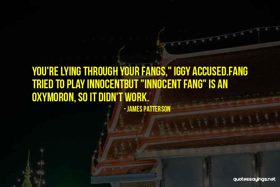 Regenmantel Hund Quotes By James Patterson Regenmantel Hund Quotes By James Patterson