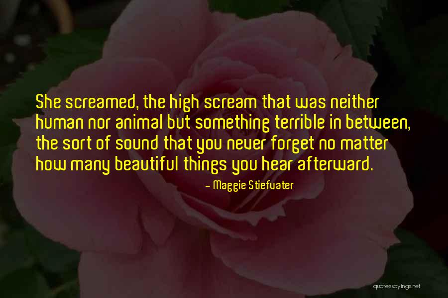 Regev Hod Quotes By Maggie Stiefvater Regev Hod Quotes By Maggie Stiefvater