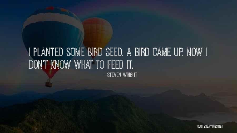 Regex Match Escaped Quotes By Steven Wright Regex Match Escaped Quotes By Steven Wright