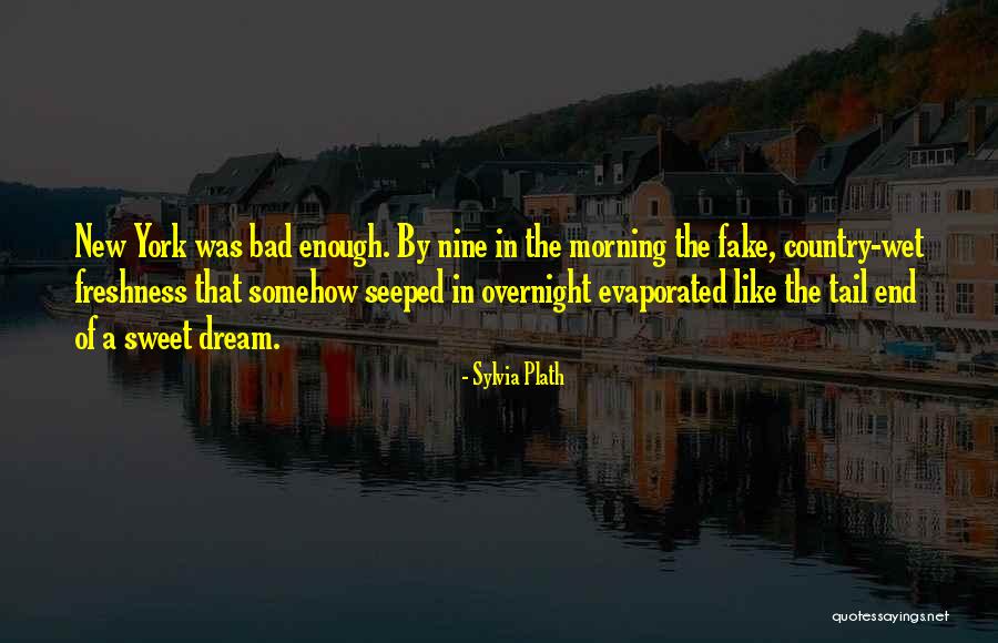 Regiane Aiello Quotes By Sylvia Plath Regiane Aiello Quotes By Sylvia Plath