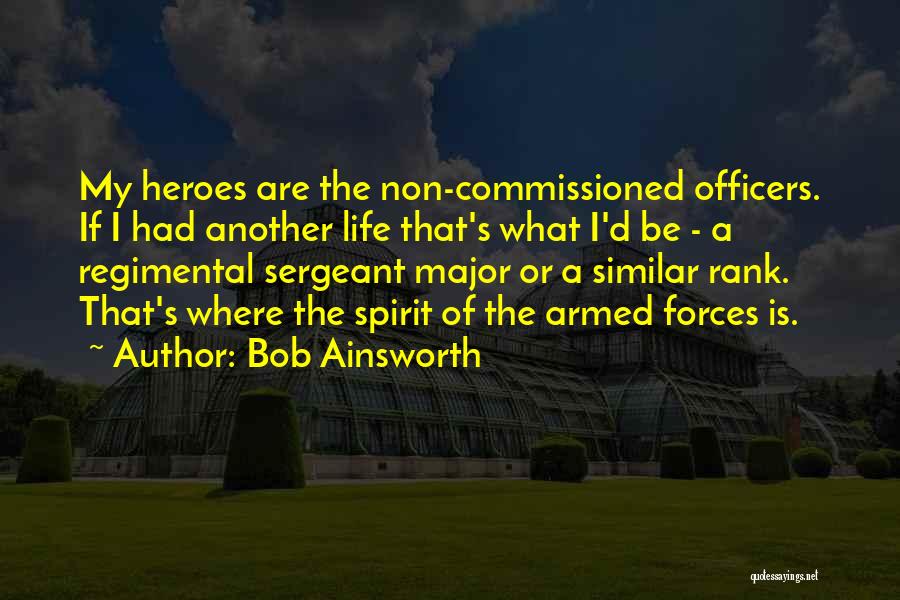 Regimental Sergeant Major Quotes By Bob Ainsworth