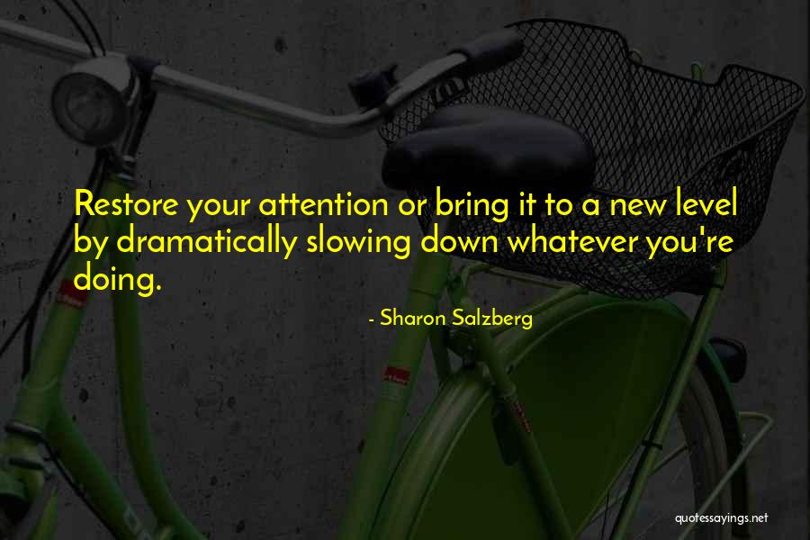Regimented Synonym Quotes By Sharon Salzberg Regimented Synonym Quotes By Sharon Salzberg