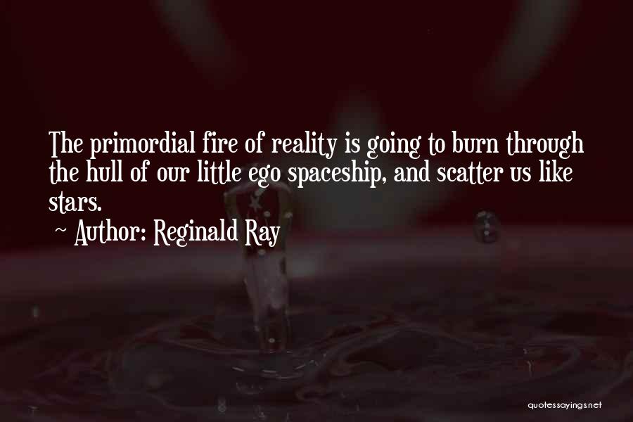 Reginald Ray Quotes 2139344