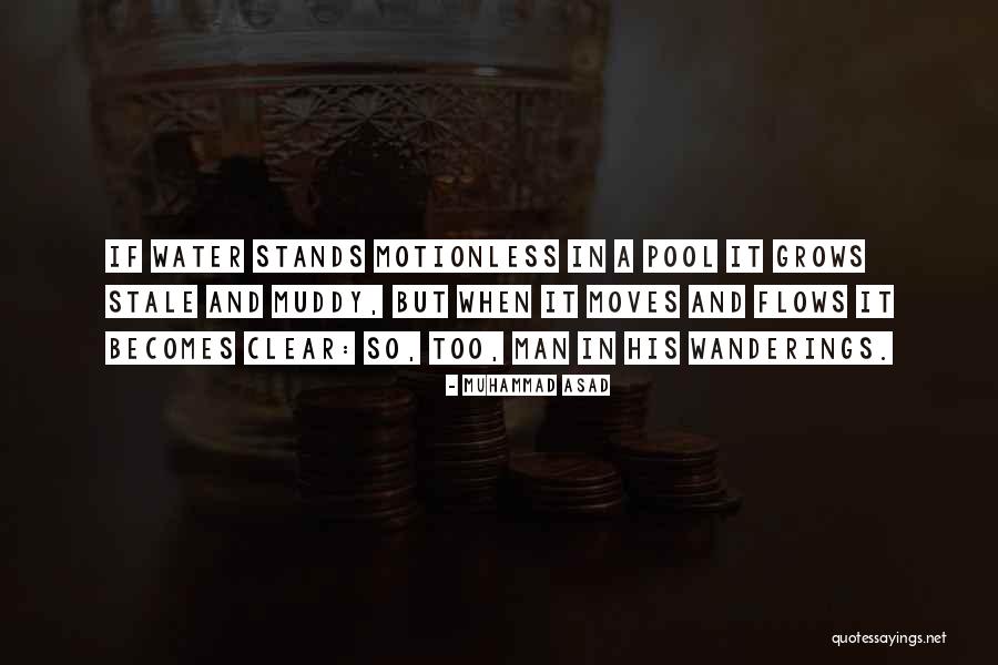 Reginos Quotes By Muhammad Asad Reginos Quotes By Muhammad Asad