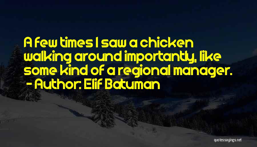 Regional Quotes By Elif Batuman