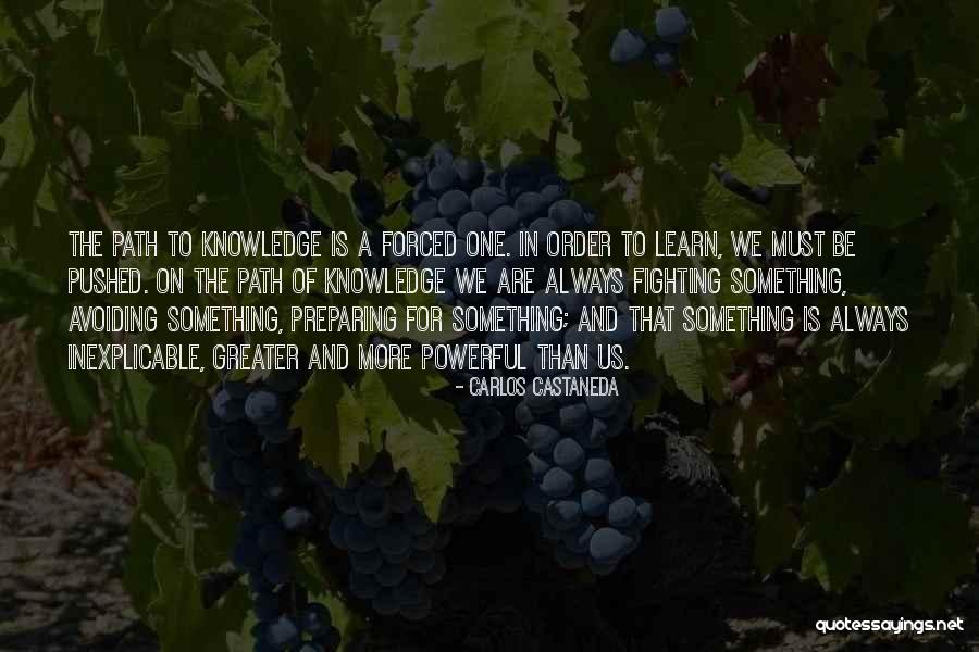 Regioni A Statuto Quotes By Carlos Castaneda Regioni A Statuto Quotes By Carlos Castaneda
